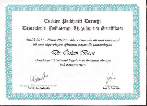 Türkiye Psikiyatri Derneği Destekleyici Psikoterapi Uygulayıcısı Sertifikası
